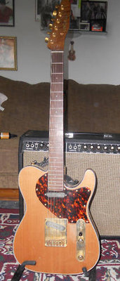 Wallace telecaster.jpg