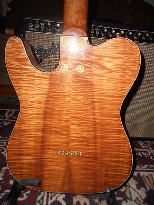 Custom Wallace Telecaster-3.jpg