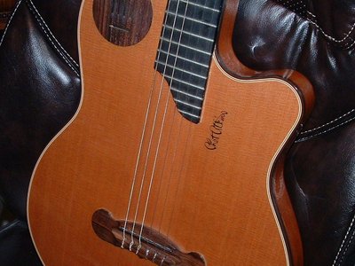 Removed EQ brown foam behind cover plate - Copy.JPG
