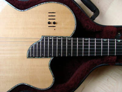 ' Kirk Sand guitar case close controls.jpg