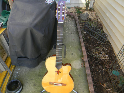1991 Gibson Chet Atkins Studio Classic.JPG