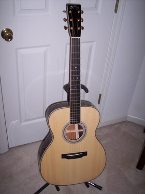 's Custom Martin 003.JPG