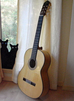 Yamaha 172 SF leans with cat shilloettes.jpg