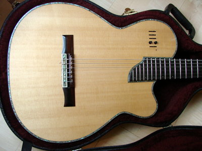 ' Kirk Sand guitar case body.jpg
