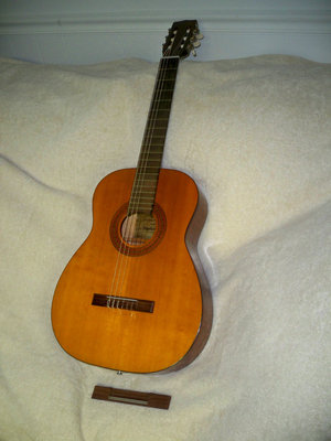 H6272 (1).JPG