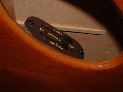 Closer Barbera preamp.JPG