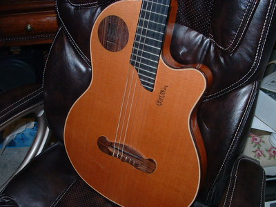Removed EQ brown foam behind cover plate.JPG