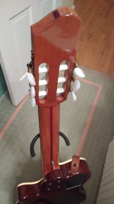 RickPaul Neck Pic 4.jpg