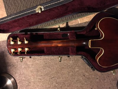 67' Gretsch back 1.JPG